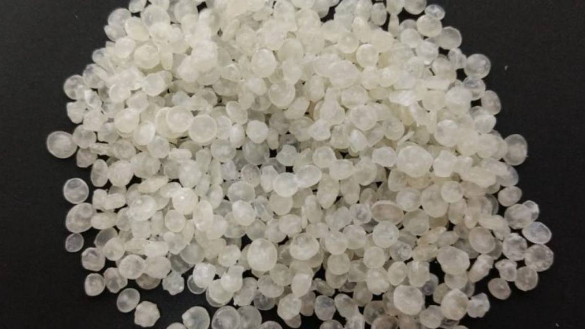 Mandioca y a la bolsa: crean un packaging biodegradable con sello misionero