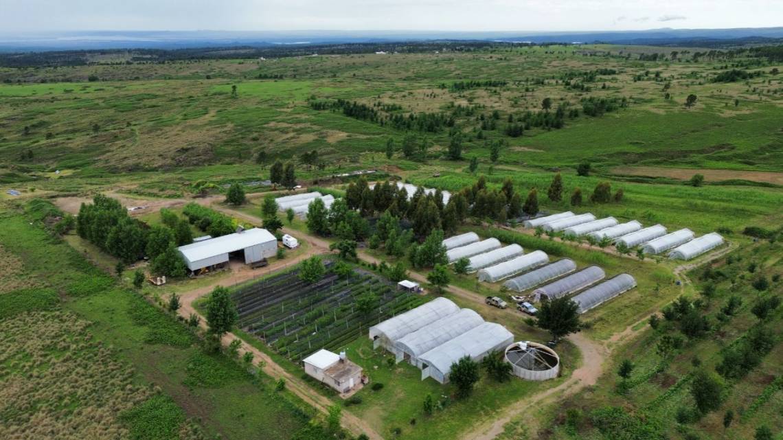 Arman un programa para que el capital privado eche raíces