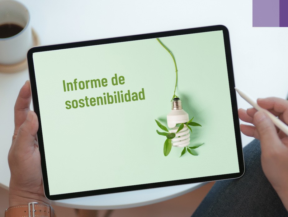 Las empresas que se abren al mercado se abren a la sustentabilidad