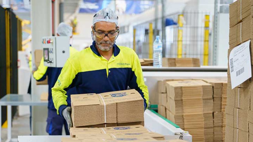 Produce embalajes y logró poner en caja al carbono