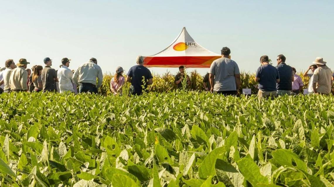 Se juntan para llevar financiamiento de biológicos directo al productor