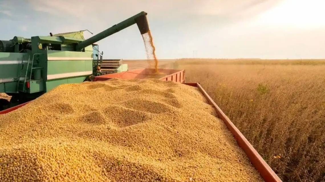 Molinos Agro tramita el DNI ambiental de su soja