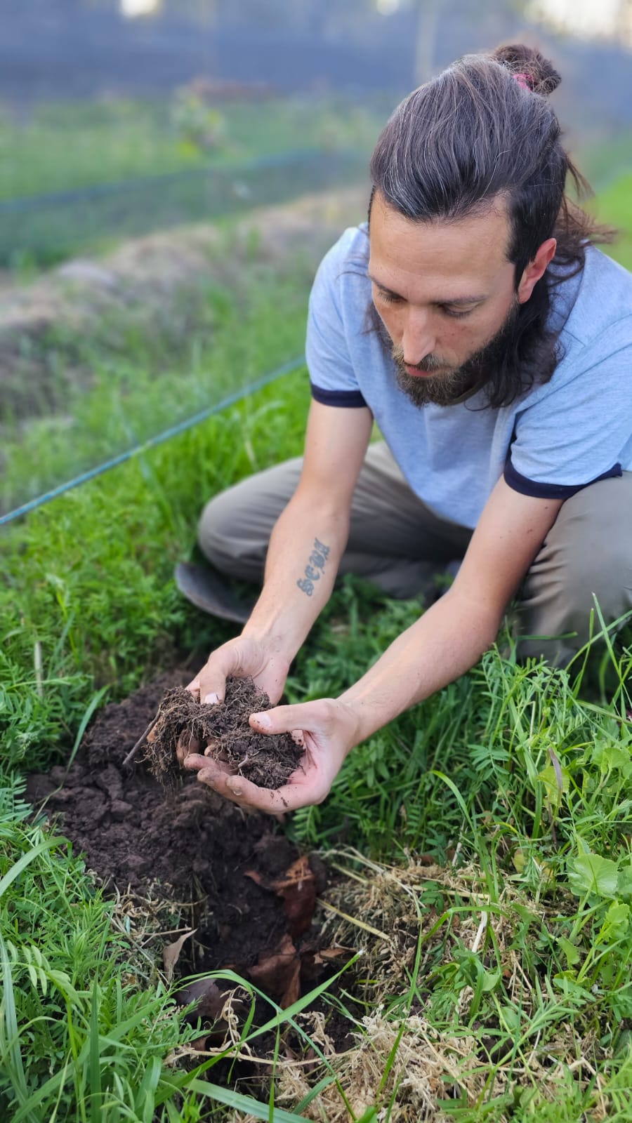 Regeneran viñedos centenarios que el boom inmobiliario empuja al olvido