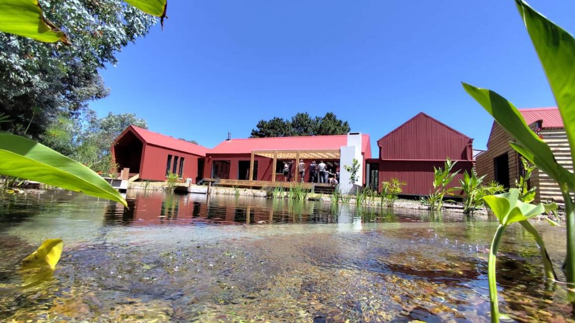 Diseña casas que capturan carbono y recortan consumo ¿Cómo lo hace?