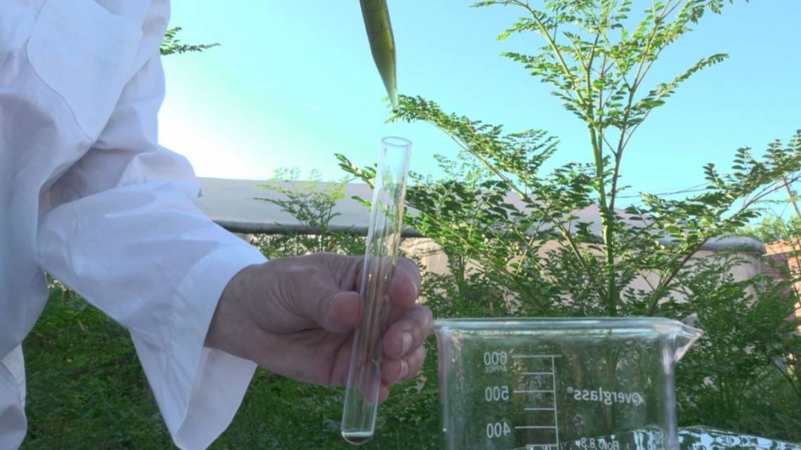 Fabrican cosmética natural y suplementos y juegan a favor del planeta