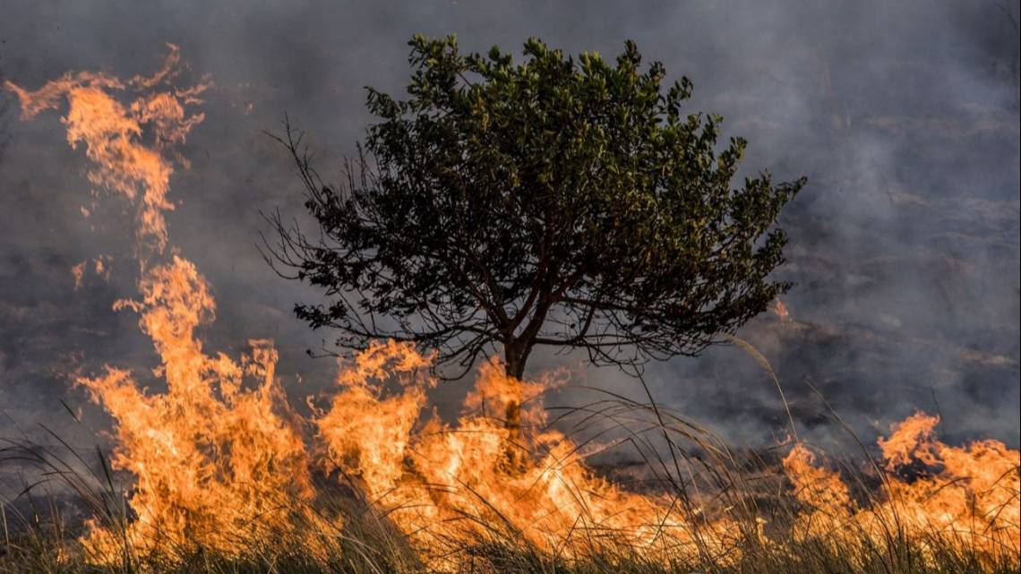 La app argentina que detecta incendios cerró millonaria ronda de inversión