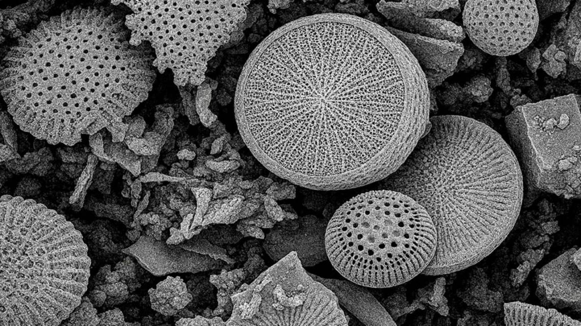 Desarrollan dispositivo de uso doméstico para remover los microplásticos del agua