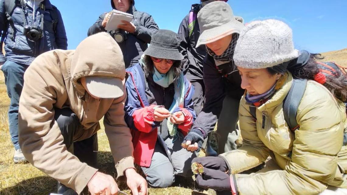 Desde Córdoba al podio científico global por analizar el impacto del litio en la Puna
