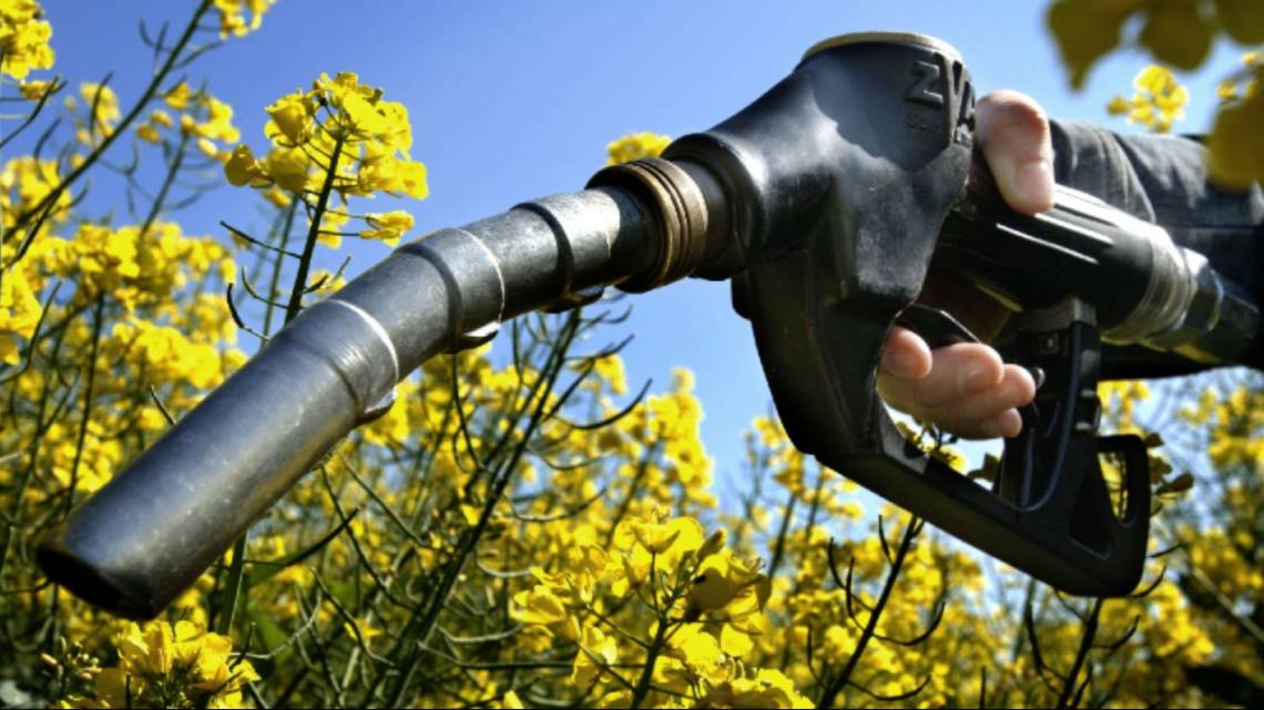 La receta para lograr que América latina suba al podio de los biocombustibles