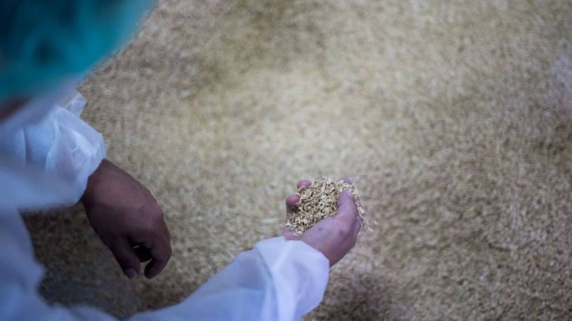Quiere fabricar en Rosario un polímero en base a cáscara de arroz patentado en la UE
