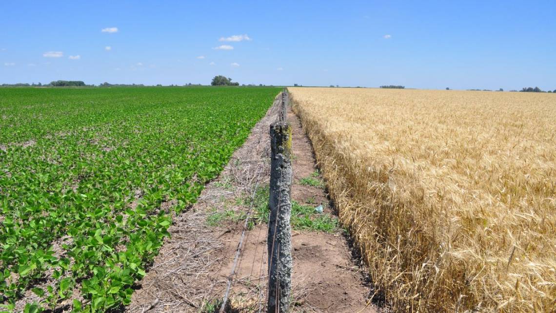 Argentina sacó ante la UE su chapa de líder en bioinsumos