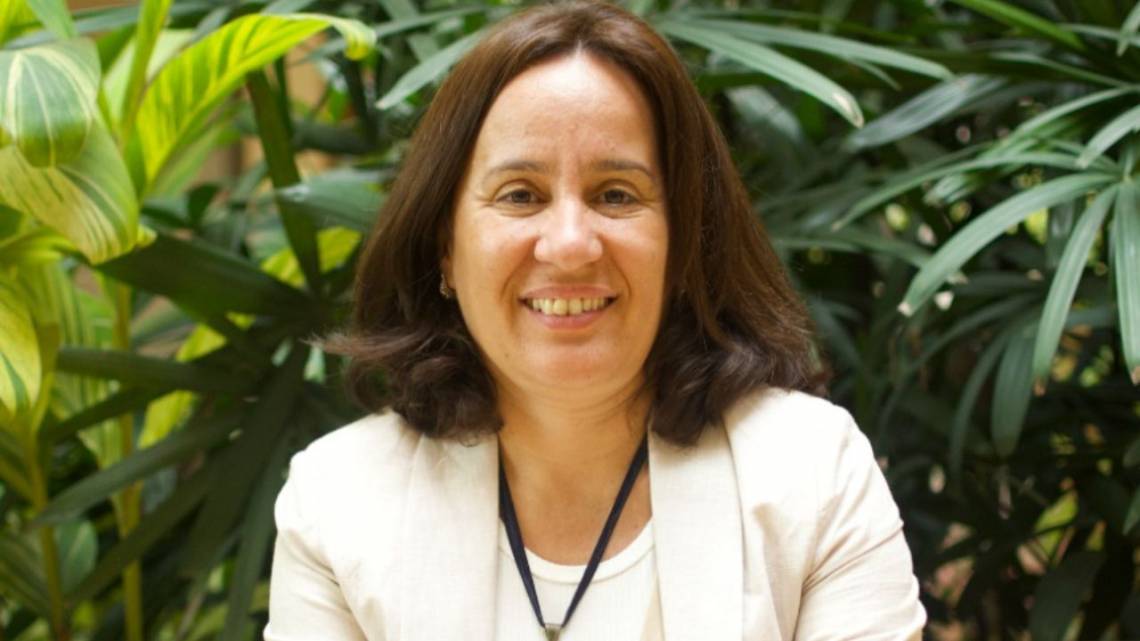 Economía de comunión: cuando el impacto no es una estrategia, sino una convicción 