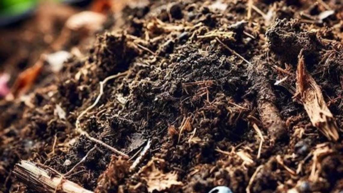 Empezó generando energía con poda de viñedos y ahora va por biofertilizantes