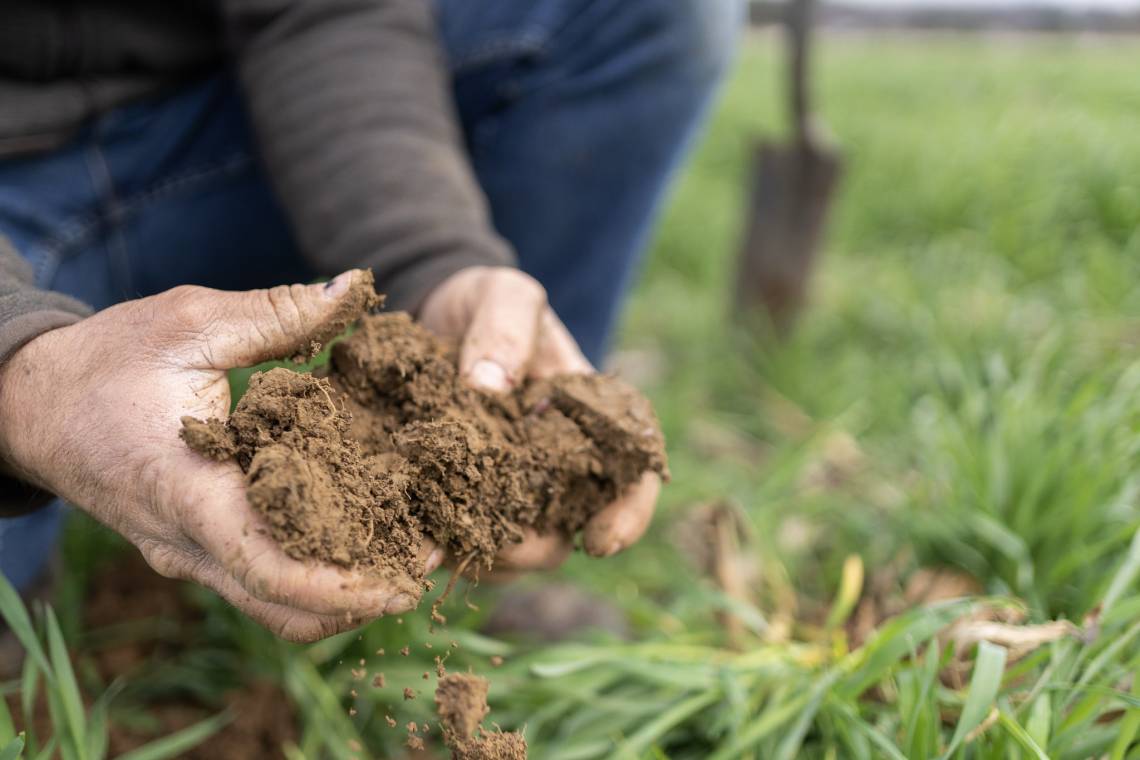 Mercado de carbono: el agro pide que el productor sea el protagonista