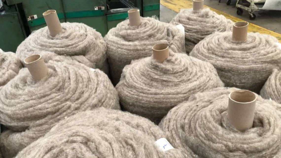 Transforman descarte de lana ovina en materiales aislantes térmicos y acústicos