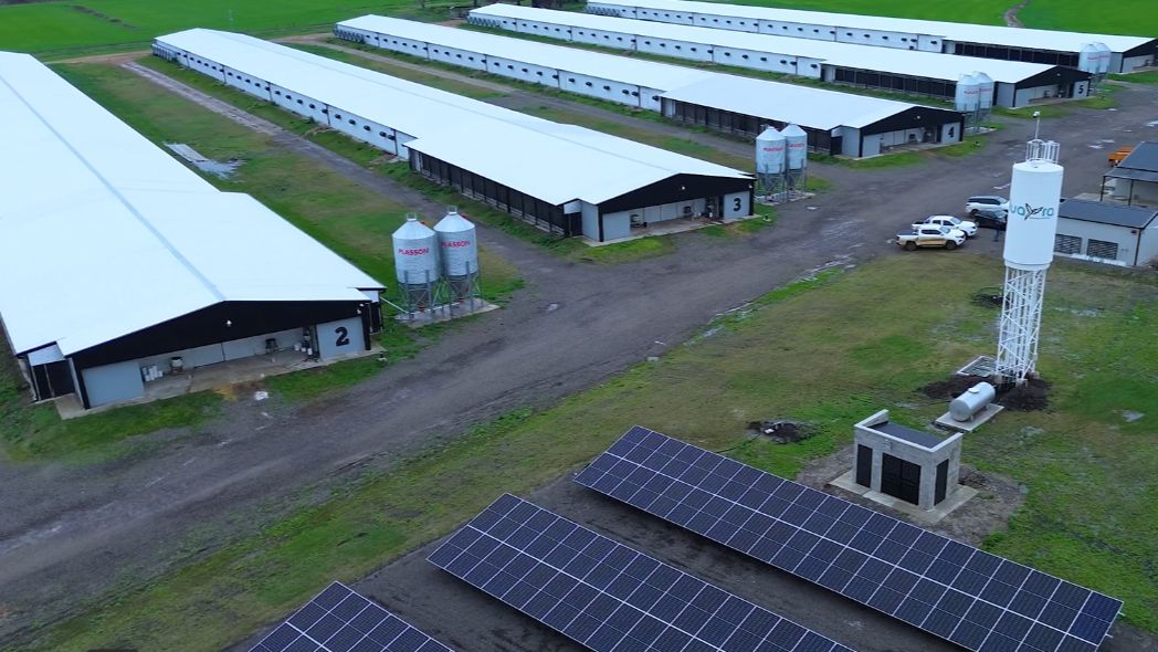 Granja avícola suma almacenamiento para enfrentar los límites de la red eléctrica rural