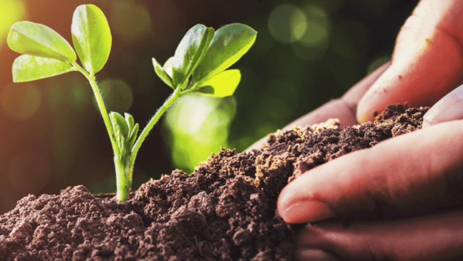 Bioinsumos: el Polo Tecnológico Rosario lanza una capacitación para empresas