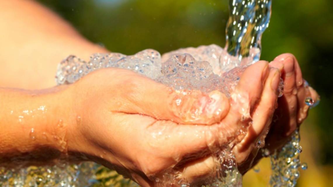 Las bacterias que recorrieron 500 kilómetros para purificar el agua