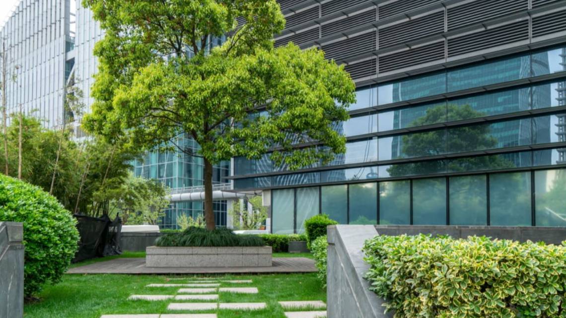 Edificios sustentables: el que quiere verde que lo demuestre