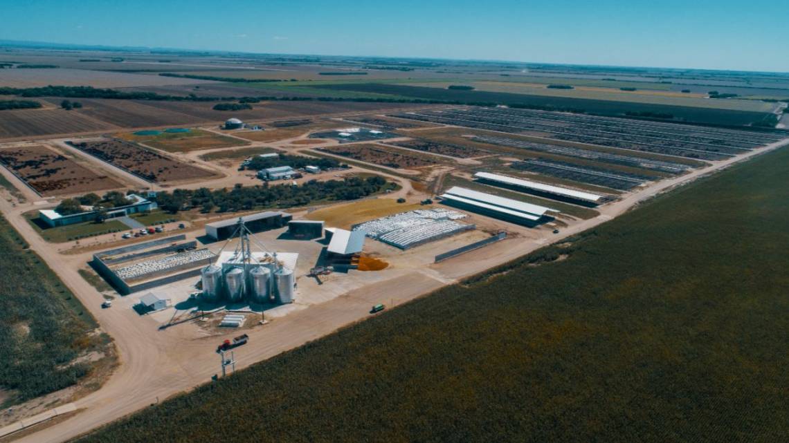 Gigante de nutrición animal invierte millones para producir más y reducir huella