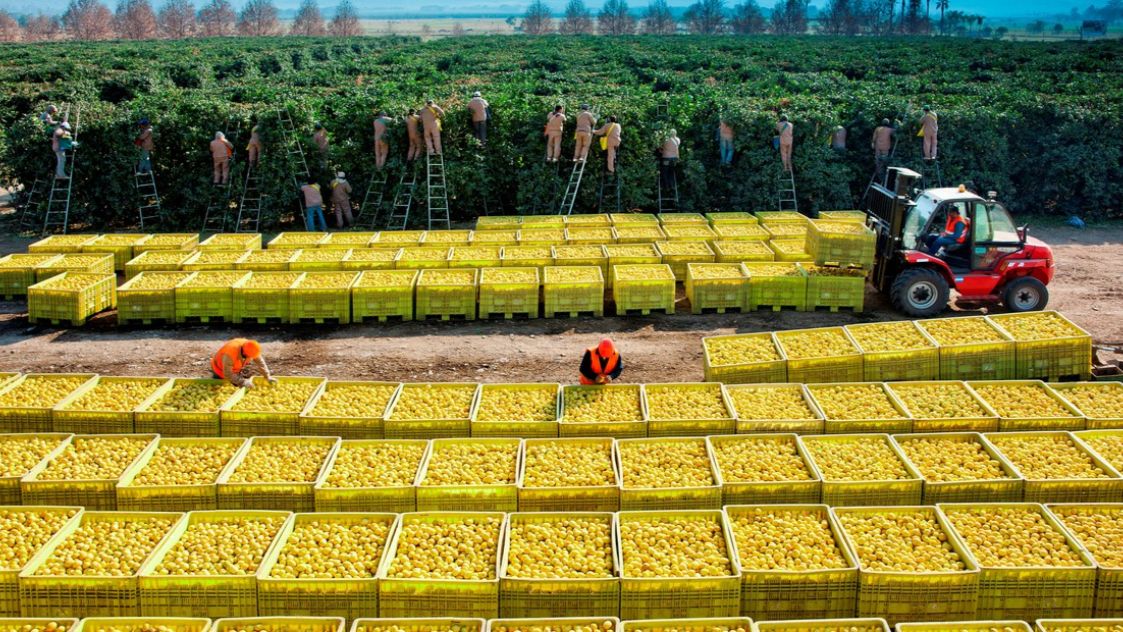 Grupo Lucci refuerza la producción de alimentos en clave sostenible