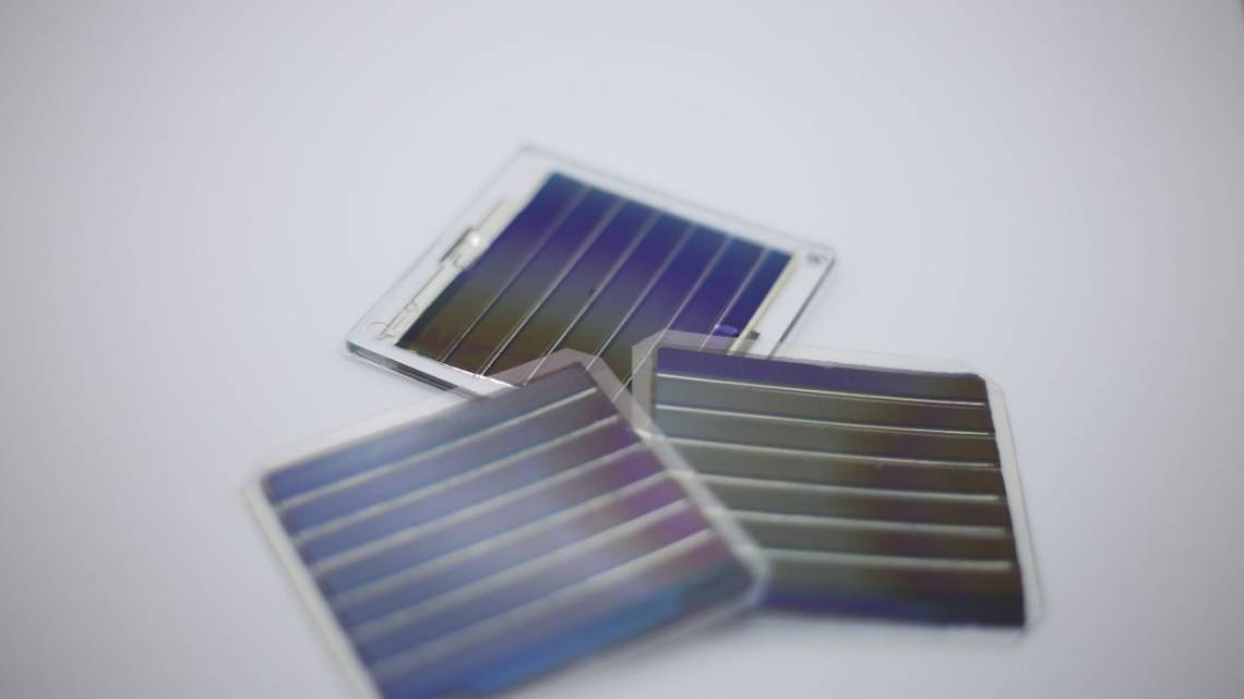 Crean paneles solares orgánicos para alimentar invernaderos