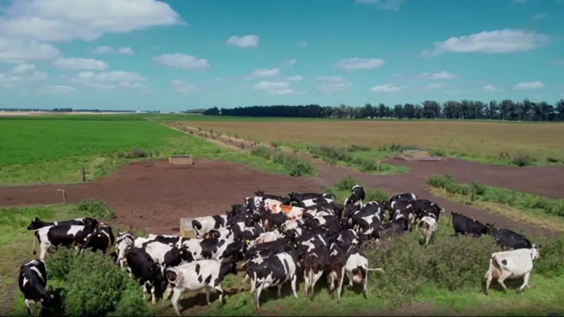 Premian a startups que promueven la innovación con impacto