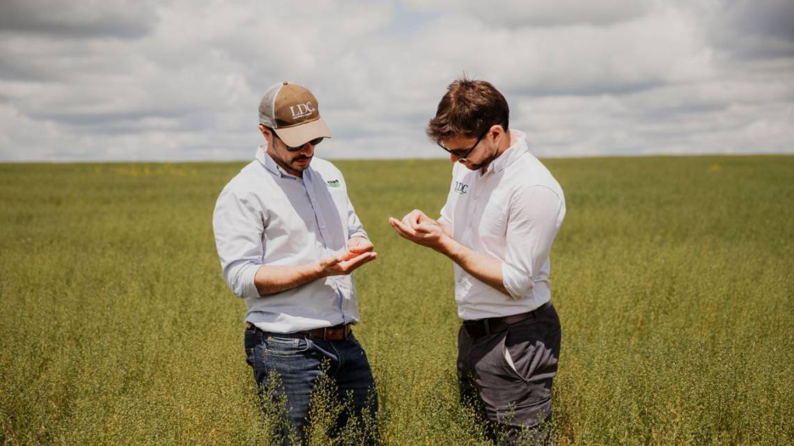 El plan de un gigante para plantar la agricultura regenerativa en Argentina