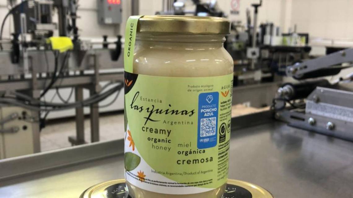 Abejas viajeras: la miel orgánica argentina que endulza mercados y gana premios