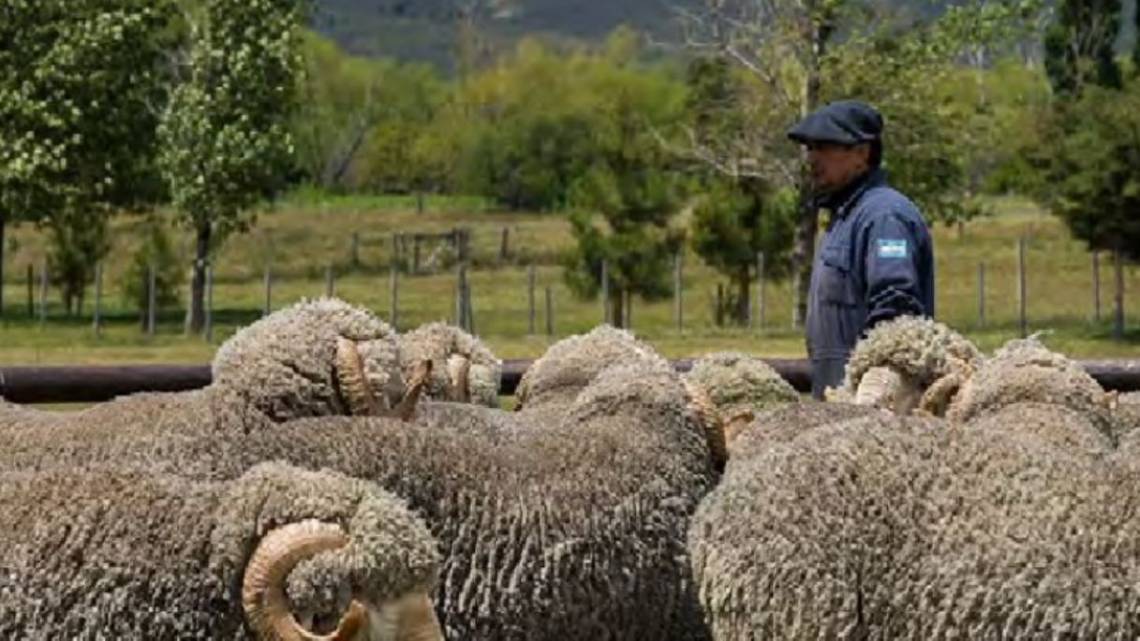 Compañía de Tierras Sud Argentino crea valor económico con buenas prácticas