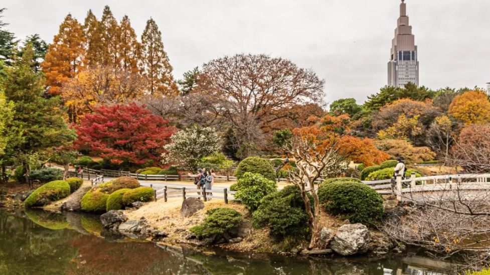 El ranking de las ciudades más verdes del mundo