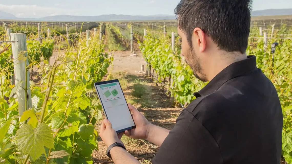 Fondos de inversión apuestan al verde y a los verdes