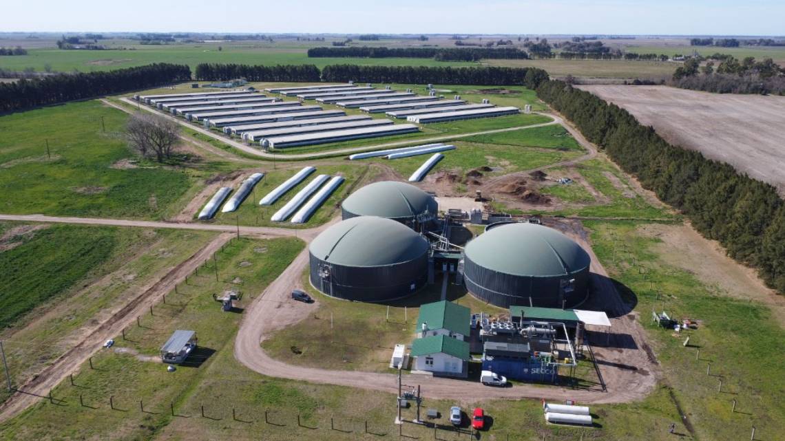 Con efluentes porcinos prenden la luz de 5.000 hogares