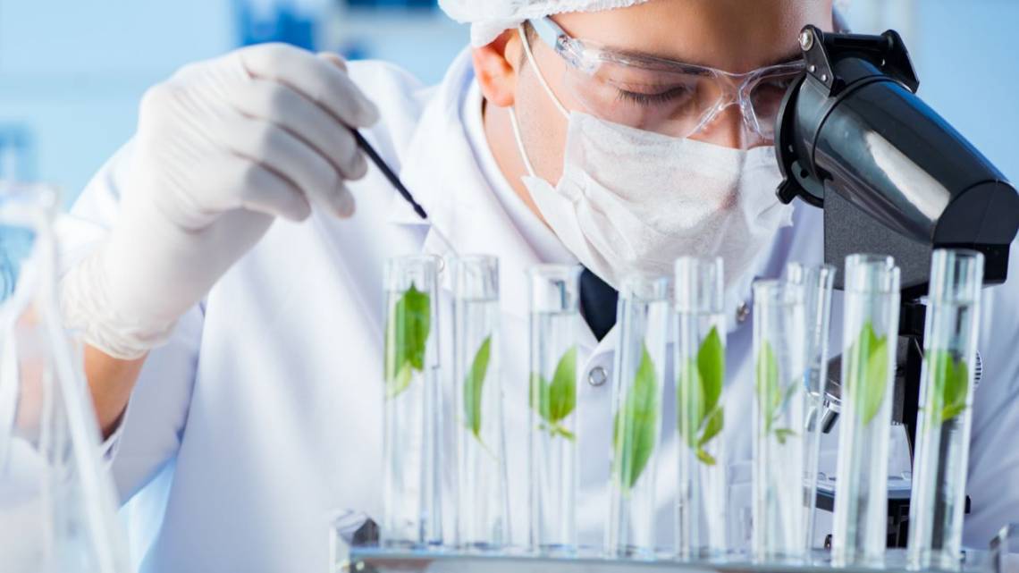 Las regulaciones verdes: ¿oportunidad o freno para el desarrollo?