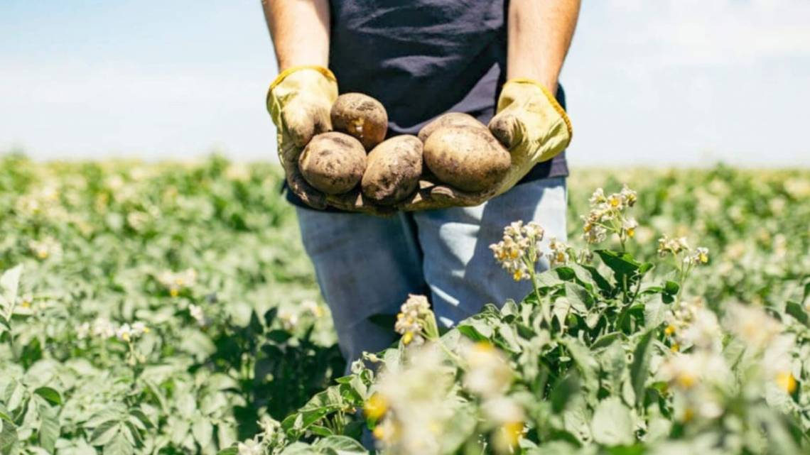 Una empresa argentina se ganó el aplauso de PepsiCo por producir y regenerar