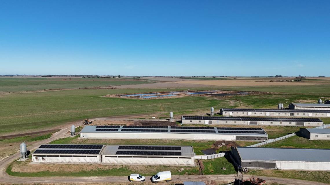 Un negocio potente: te conectan al sol y te bancan la inversión