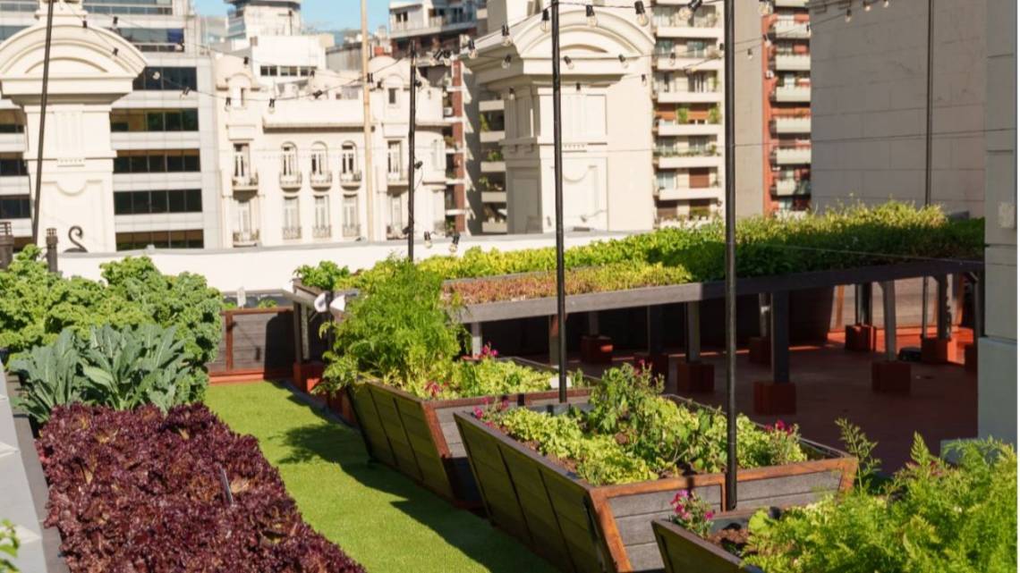 El hotel cinco estrellas que se volvió un mini farmer 