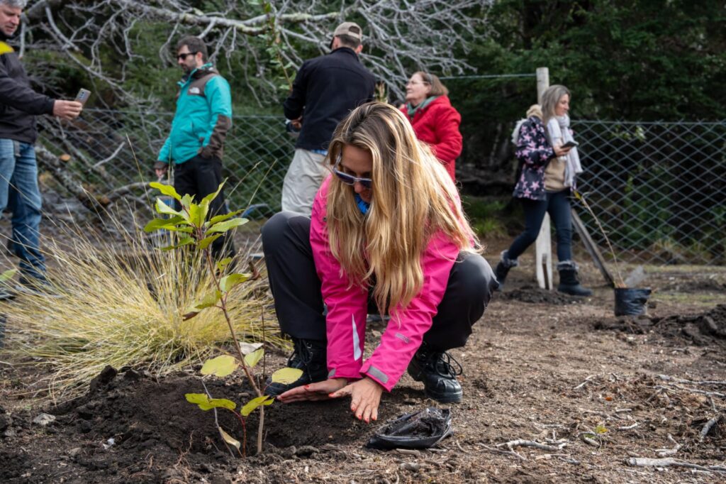 Argenway lleva adelante el programa “Bosques del futuro” en la Patagonia.