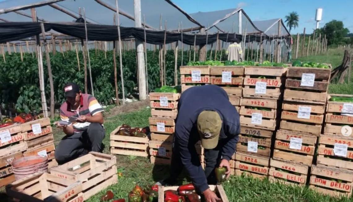 Emiten su octava ON por más de $ 1.000 M para financiar proyectos con impacto