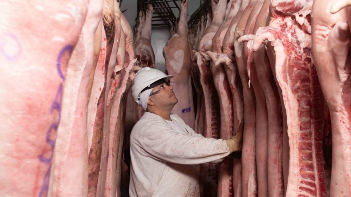 Frigorífico invirtió para que sus residuos se “revuelquen” en la producción