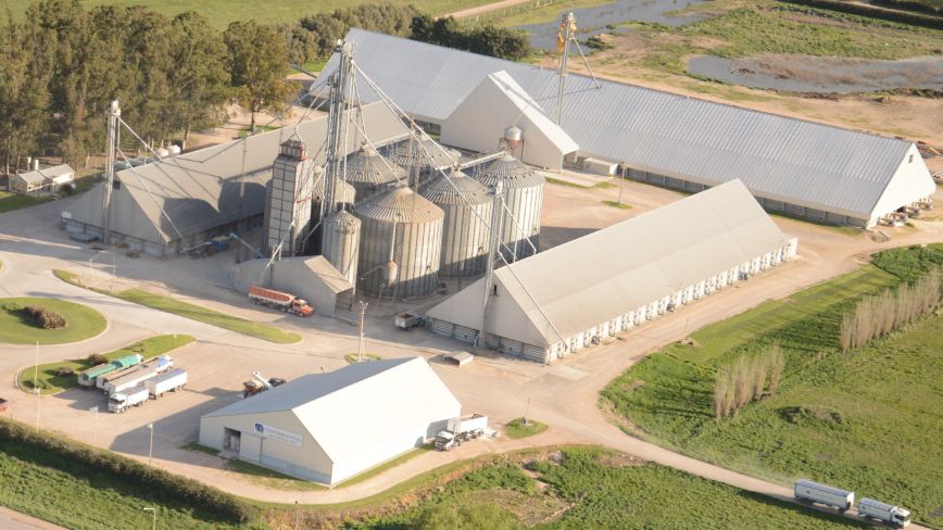 Venden insumos para el agro y ahora también cosechan energía limpia