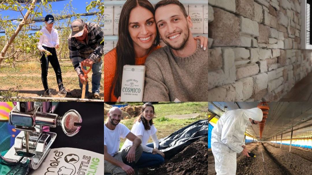 El menú preferido: ranking de lo más leído del año 2025 en Ecobiz