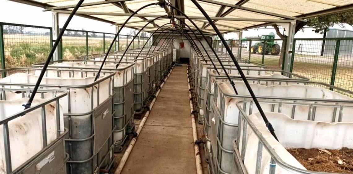 Costos, beneficios y todo lo que hay que saber de las camas biológicas