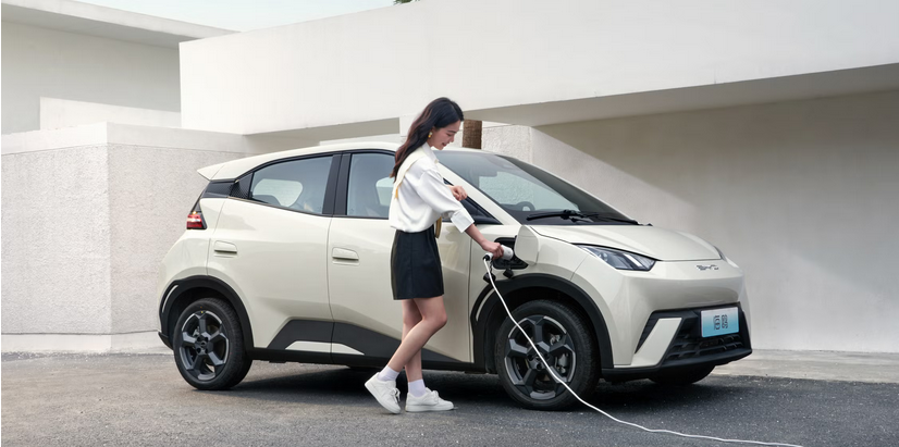 Autos eléctricos: Llegó sobre el fin de año y ya lideró el ránking anual