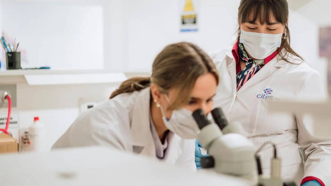 Cites: acercan el capital a la ciencia con impacto real