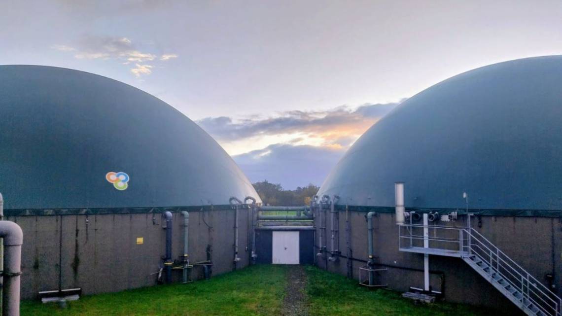 Crean biofertilizante con residuos de biogás, lo validan en Alemania y vuelven al país