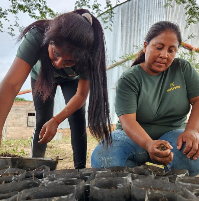 En Vinalito, Jujuy, Nativas está trabajando junto a la Cooperativa Fraile Pintado y ACDI en la conservación de bosques nativos.