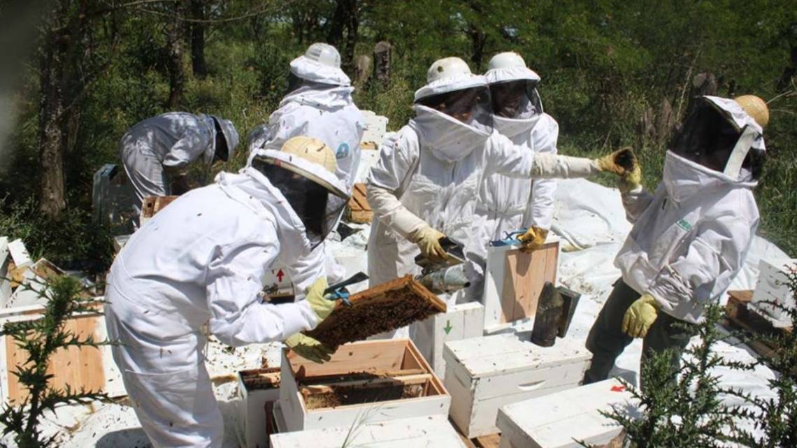 Reina de Corazones es un proyecto de triple impacto que contribuye con el cuidado del ambiente y el bienestar del equipo de mujeres que integran la red.