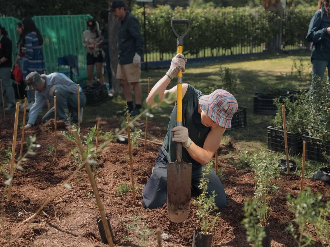 Bloomberg Philanthropies destinará 50 mil dólares a cada uno de los 100 municipios en todo el mundo.