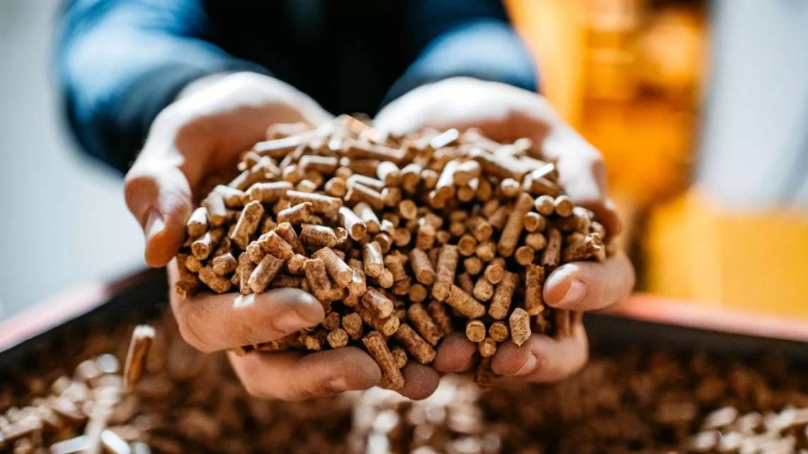 Con ramas viejas de viñedos y olivos encontró una fuente sostenible de energía 